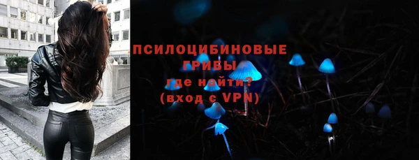хмурый Лиски