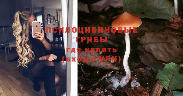 хмурый Лиски