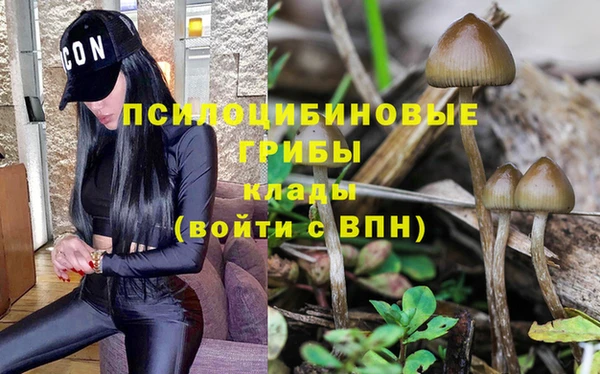 бошки Лихославль
