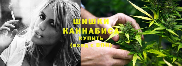 не бодяженный Ладушкин